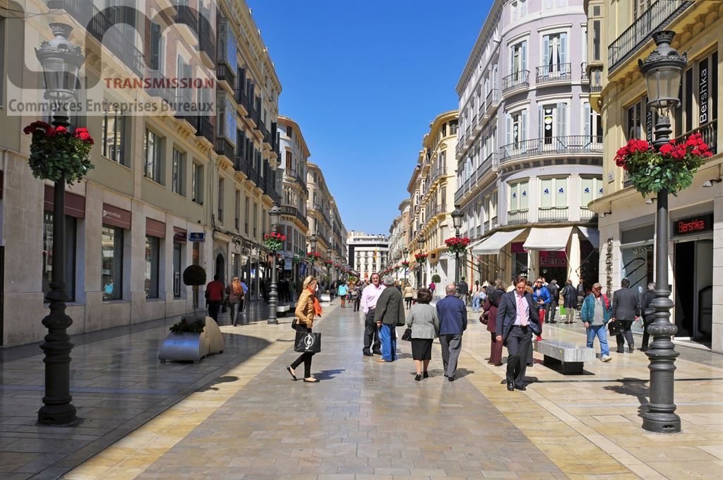 commerce en vente sur PARIS (75015)